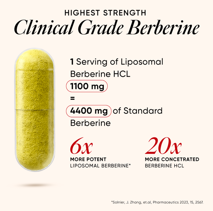 https://cdn.shopify.com/s/files/1/0240/2942/9840/files/02_Berberine.png?v=1755694187
