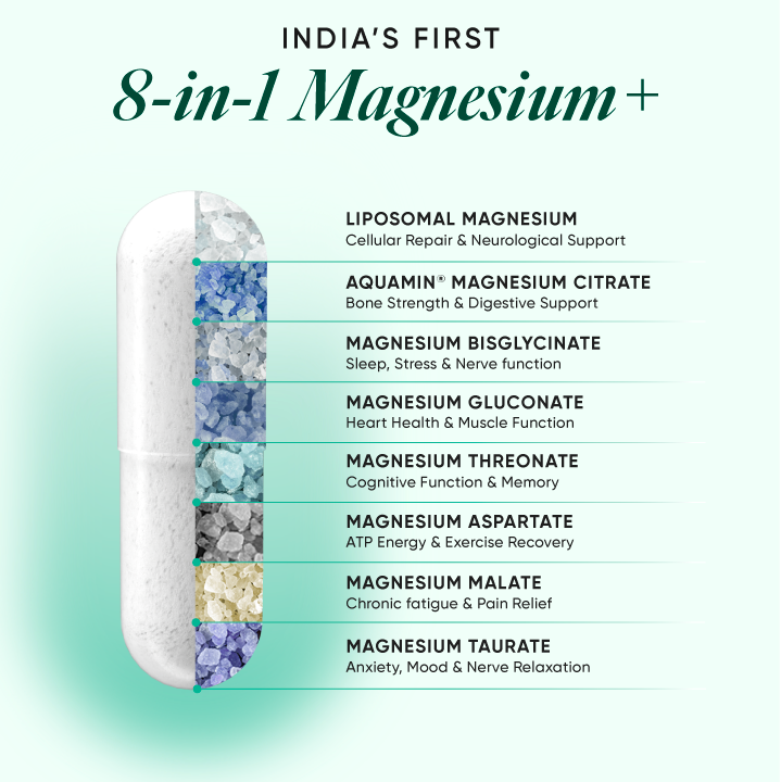 https://cdn.shopify.com/s/files/1/0240/2942/9840/files/02_Magnesium.png?v=1751030620