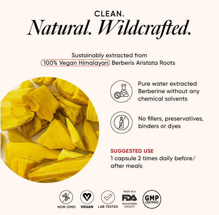 https://cdn.shopify.com/s/files/1/0240/2942/9840/files/03_Berberine.png?v=1755694187