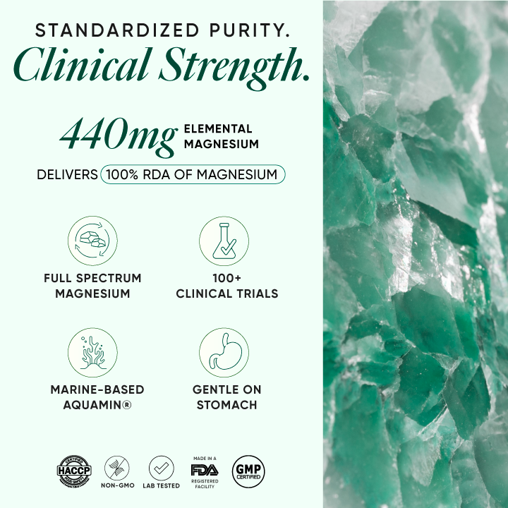 https://cdn.shopify.com/s/files/1/0240/2942/9840/files/03_Magnesium.png?v=1751030620