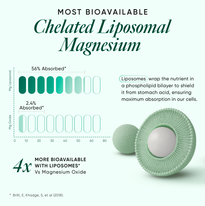 https://cdn.shopify.com/s/files/1/0240/2942/9840/files/04_Magnesium.png?v=1751030620