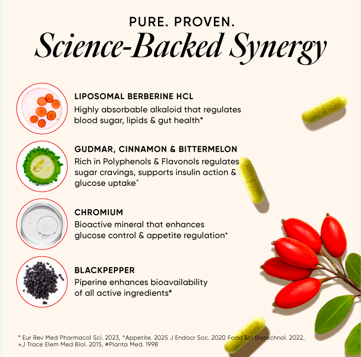 https://cdn.shopify.com/s/files/1/0240/2942/9840/files/05_Berberine.png?v=1755694187