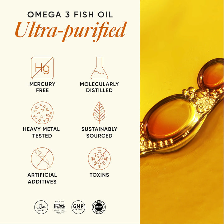 https://cdn.shopify.com/s/files/1/0240/2942/9840/files/06_OMEGA_6X_91aa8d32-8e54-4b5c-a14a-ee9f6e77df04.jpg?v=1762336546
