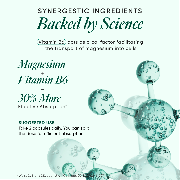 https://cdn.shopify.com/s/files/1/0240/2942/9840/files/08_Magnesium.png?v=1751030620