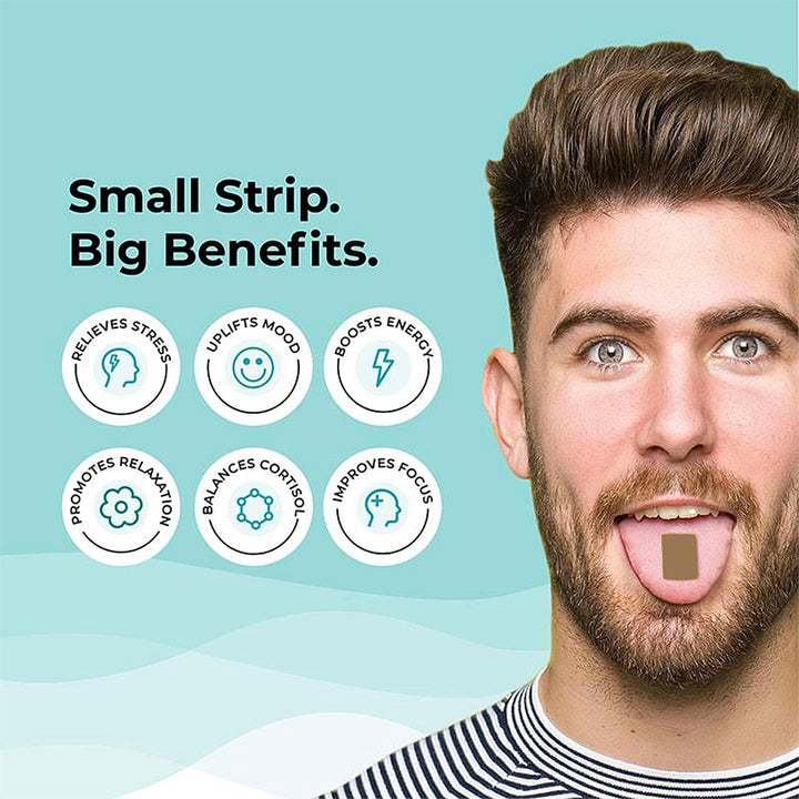 https://cdn.shopify.com/s/files/1/0240/2942/9840/files/IMG3_73b16a8f-9a1c-49e7-bd64-e464bacc8c83.jpg?v=1759315270
