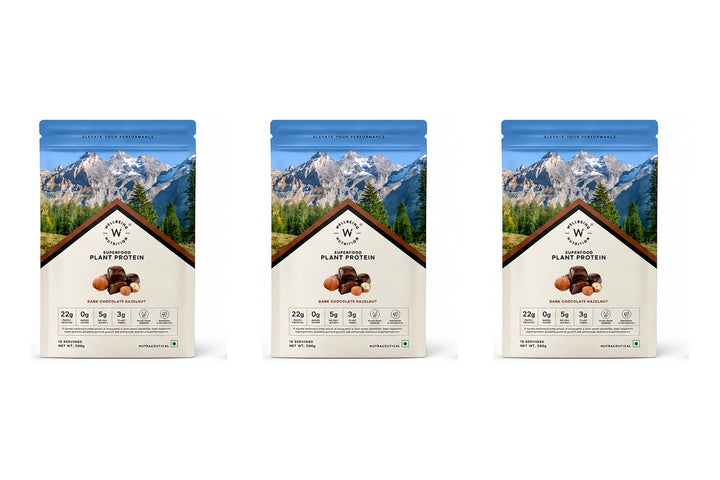Vegan Protein 22g | 500g | 3B CFU Probiotics | Dark Chocolate Hazelnut